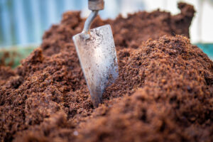 shovel in coco coir