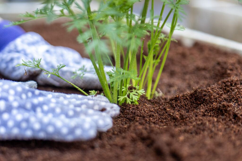 evening out potting soil